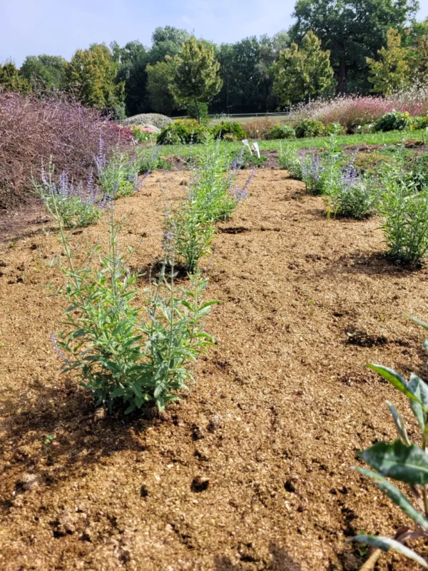plantimax