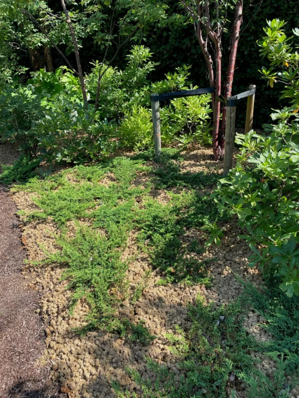 plantimax