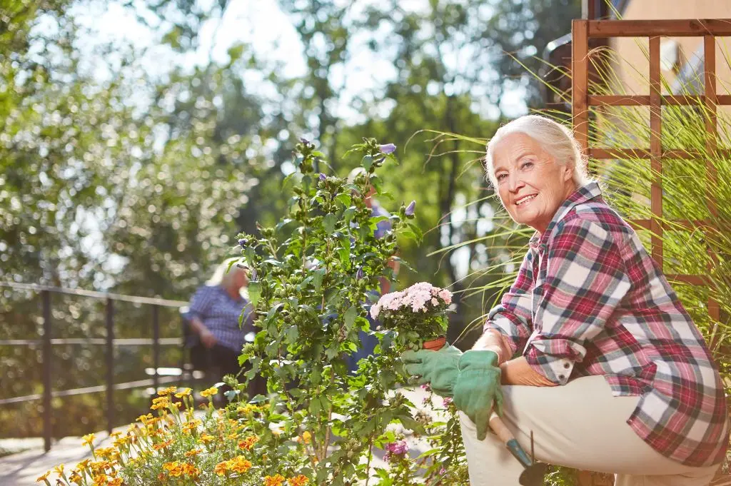 Pielęgnacja kwiatów w ogrodzie