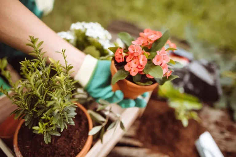 Sposób na zdrową ziemię