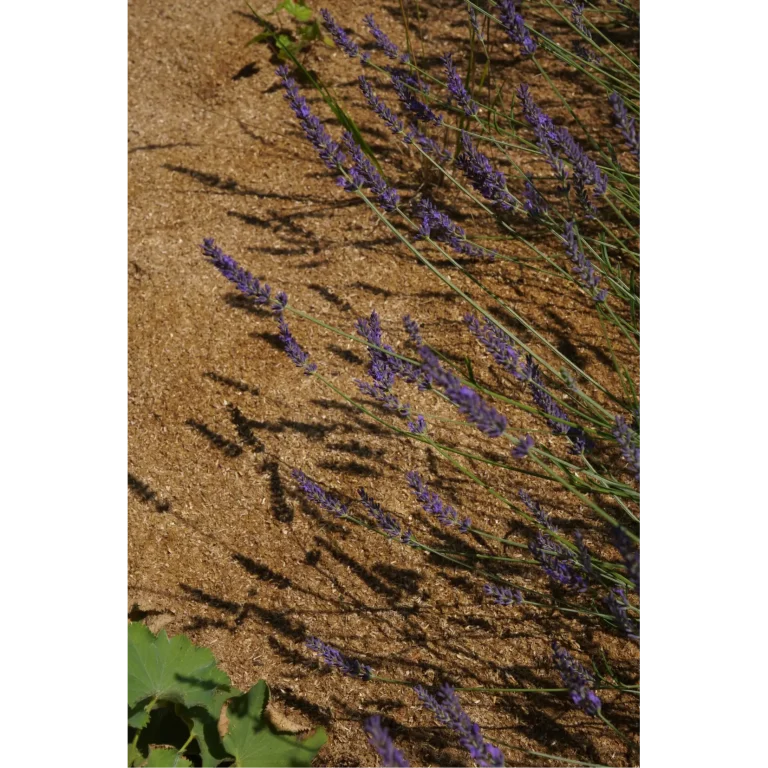 Plantimax Minerals – naturalna ściółka mineralna do ogrodu