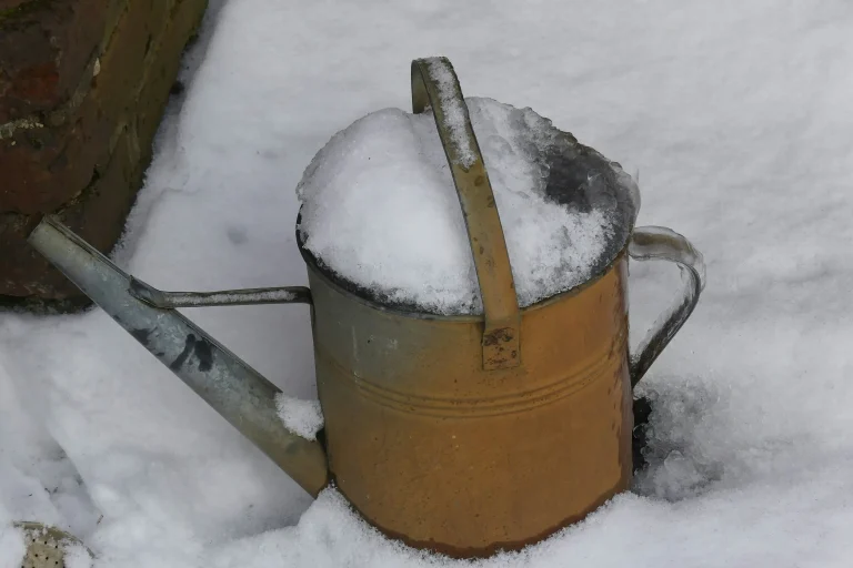 Prace w ogrodzie w lutym – wysiewy, cięcia i planowanie sezonu